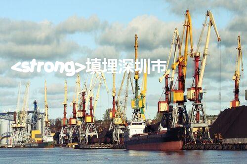 <strong>填埋深圳市危險(xiǎn)廢物處理站有限公司化工設(shè)施安全解體：如何高效處理復(fù)雜工業(yè)遺留問(wèn)題？</strong>